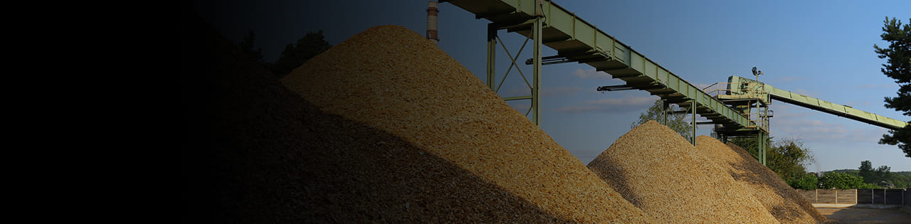 Banner pulp paper 1 Banner pulp paper 1