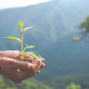 Environmental Policy Statement