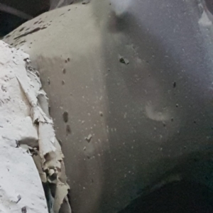 IMG 20190313 WA0007 IMG 20190313 WA0007