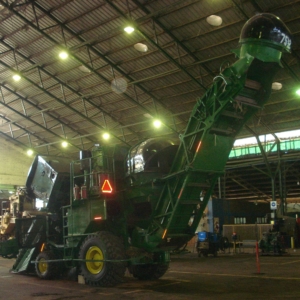 Sugar cane harvester Sugar cane harvester