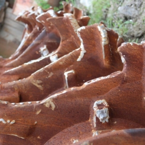 Original worn blades before repair